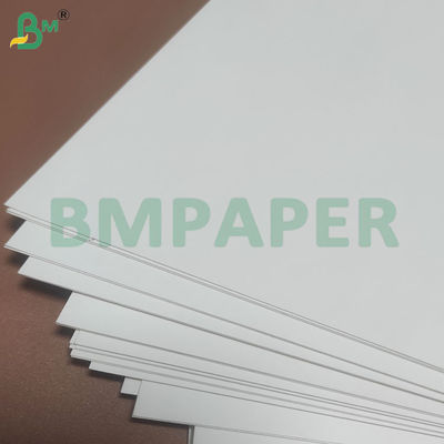 135-350 GSM بسته بندی مواد غذایی با سفتی بالا رول کاغذ برای کاسه کاغذی