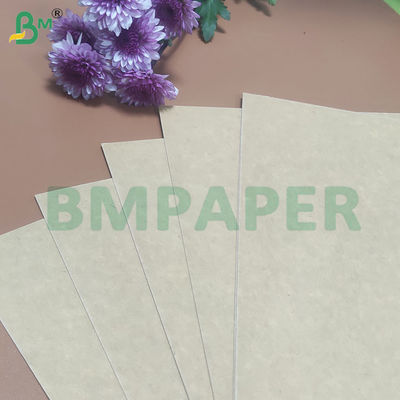 135-350 GSM بسته بندی مواد غذایی با سفتی بالا رول کاغذ برای کاسه کاغذی