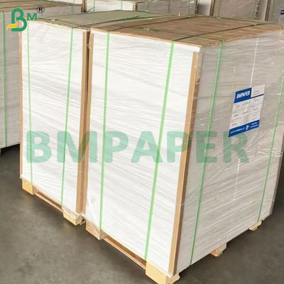 135-350 GSM بسته بندی مواد غذایی با سفتی بالا رول کاغذ برای کاسه کاغذی