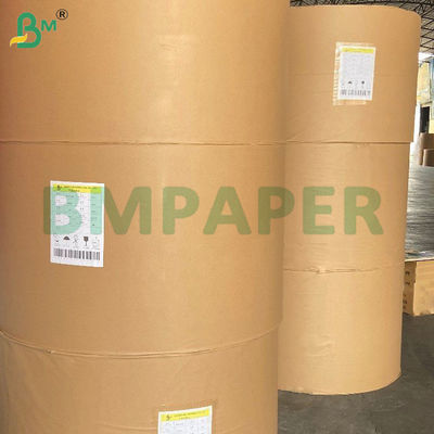 210g + 15g کاسه کاغذ مواد غذایی درجه PE پوشانده چوبی کاغذی رول