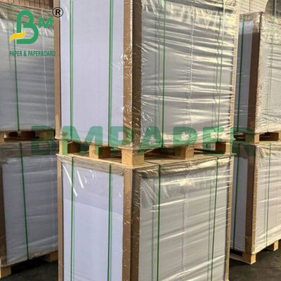 30 - 90 گرام کاغذ پخت و پز سیلیکونی ضد چربی دو طرفه