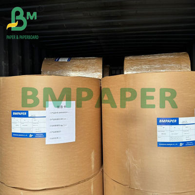220g + 20g PE پوشش داده شده کاغذ کاسه 100٪ چوب نوجوانی پالپ مواد غذایی محافظ صفحه