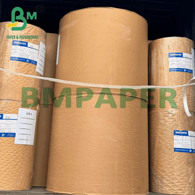 220g + 20g PE پوشش داده شده کاغذ کاسه 100٪ چوب نوجوانی پالپ مواد غذایی محافظ صفحه