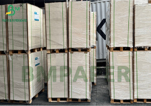 300g 350g 900mm 1000mm کاغذ SBS پوشش داده شده برای بسته بندی مواد غذایی
