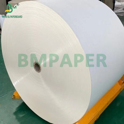 240gm + 18g PE پوشش داده شده کاغذ Cupstock برای سینی تراک ها مقاومت در برابر آب 650mm