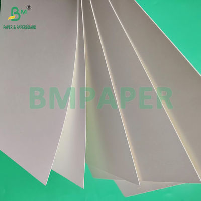 210gsm 230gsm 15g PE پوشش مات کاغذ سفید لیوان برای تهیه لیوان قهوه