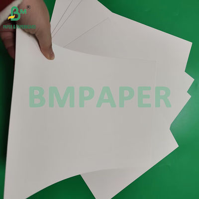 210gsm 230gsm 15g PE پوشش مات کاغذ سفید لیوان برای تهیه لیوان قهوه