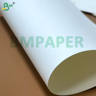 صفحه کاغذی نویدل کاسه ی غذایی 700 میلی متر × 1000 میلی متر 200 گرم + 20 گرم PE پوشانده شده