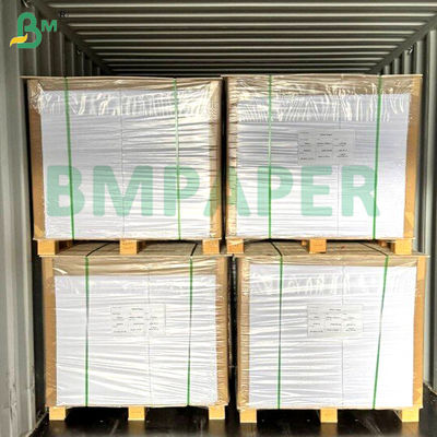 صفحه کاغذی نویدل کاسه ی غذایی 700 میلی متر × 1000 میلی متر 200 گرم + 20 گرم PE پوشانده شده