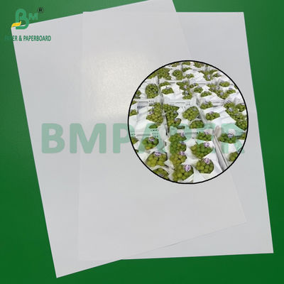 40 - 90gm کاغذ بسته بندی میوه های سفید برای انگور سبزیجات بسته بندی مقاوم در برابر آب