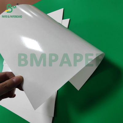 300 گرام PET لایه بندی شده مواد غذایی درجه سینی پوشه کاغذ رول 635mm درجه حرارت بالا