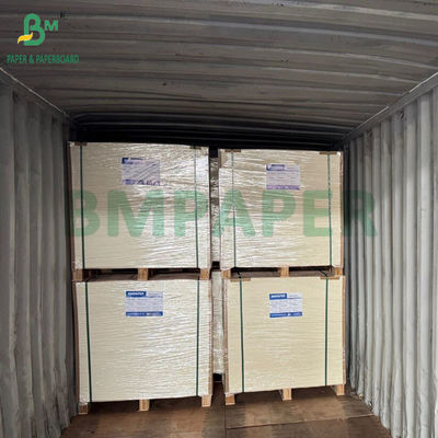 کاغذ بسته‌بندی مواد غذایی منجمد با سفتی بالا 275 گرم در متر مربع + روکش PE 15 گرم در متر مربع 635 در 902 میلی‌متر
