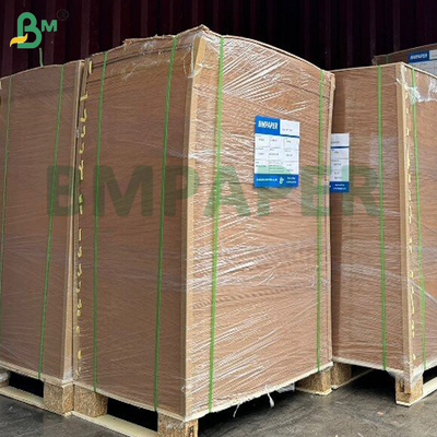 50g 70 X 100cm کاغذ پخت و پز ضد چرب