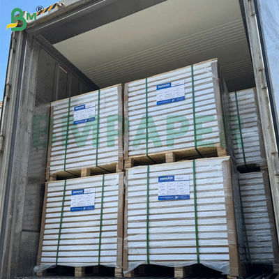 کاغذ بدون کربن 55 گرم، 60 گرم NCR، خود کپی، ورق های گسترده خالی، 70x100 سانتی متر، 61x86 سانتی متر