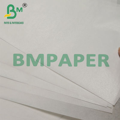 30-60gsm Silicone Treated Kraft Paper on Rolls For Food Packaging