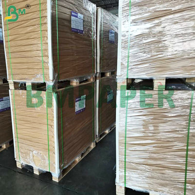 کاغذهای پوششی کیک برای فنجان پخت و پز بدون بوی چربی - کاغذ پوششی کلوچه ضد عفونی