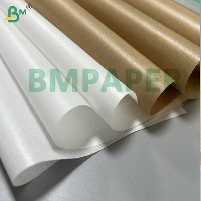 Oven Silicone Paper Water & Oil Resistant Baking Paper For Biscuits