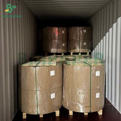 Crepe Surface Eco friendly Coffee Filter Paper 30g 50g for Disposable Use