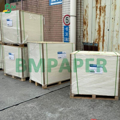 کاغذ تخصصی کاسه و بشقاب با درجه غذایی / کاغذ بشقاب، روکش PET