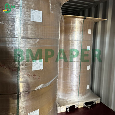 کاغذ تخصصی کاسه و بشقاب با درجه غذایی / کاغذ بشقاب، روکش PET