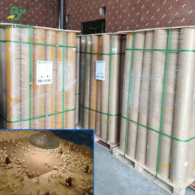 40gsm to 110gsm Borwn Absorbent Poultry Chick Paper In 34inch 36inch Wide
