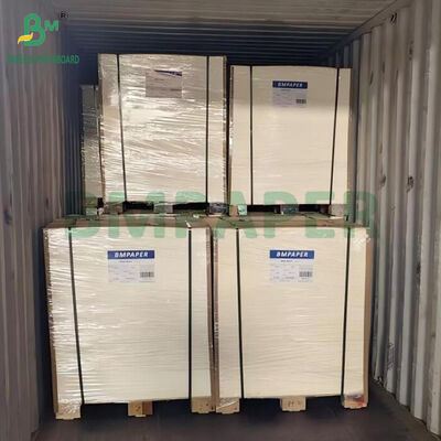 مقوای جاذب بدون پوشش 600 میکرومتر، 700 میکرومتر، 800 میکرومتر برای ساخت زیرلیوانی آبجو