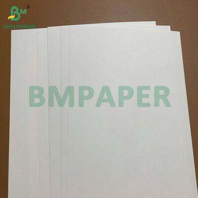کاغذ تماس با مواد غذایی با مقادیر زیاد C1S 275gsm 325gsm کاغذ کارتونی سفید برای بشقاب ها و سینی های یکبار مصرف