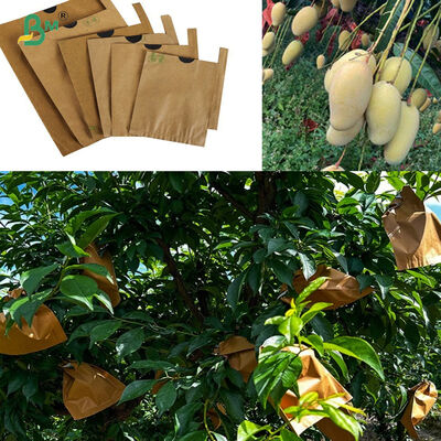 56g Yellow Outer Glossy Matte Black Inner Mango Fruit Bag Paper Roll
