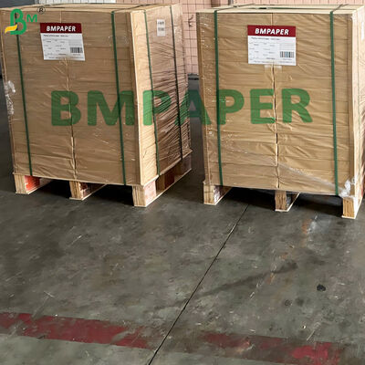 20gm کاغذ جدا کننده تورتیلا مواد غذایی پیاز پوست کاغذ پیاز