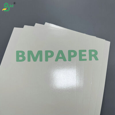 Oilproof & Moistureproof Base Material PE Coated 190gsm 210gsm Raw Paper for Disposable Tableware