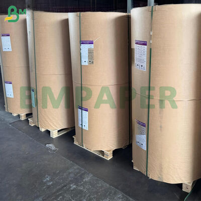 کاغذ رول سیلیکونی دو طرفه 50 گرمی برای بخارپز کردن و پخت